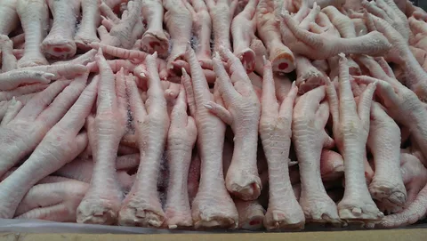 تصویر 4 از قیمت مناسب پای مرغ بسته ای + فروش ویژه
